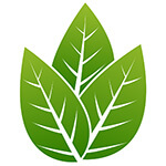 ecostinger-friendly-swimwear-products.jpg ecostinger-friendly-swimwear-products.jpg